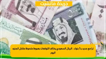 تراجع جديد بـ5 بنوك.. الريال السعودي يخالف التوقعات بهبوط ملحوظ مقابل الجنيه اليوم 1